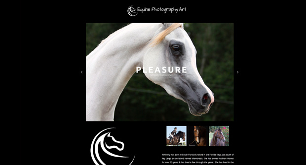 Equine Photography Art