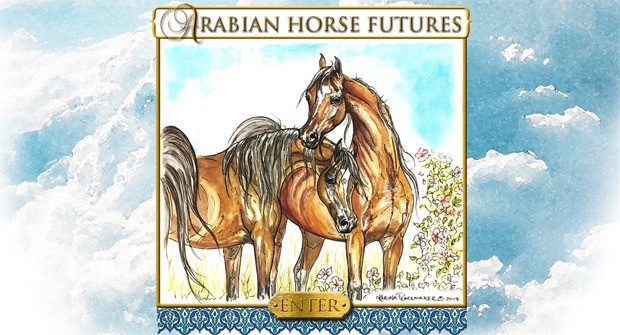 2015arabian horse futures