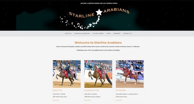 2018starline arabians