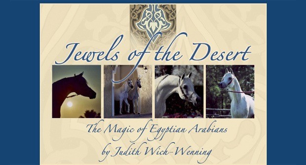 jewelsofthedesert