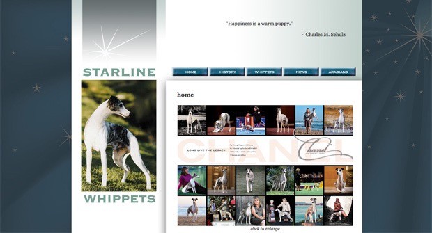 starlinewhippets
